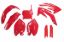 Afbeeldingen van UFO FULL KIT HONDA RED - CRF 250R 2006-2007