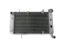 Picture of RADIATOR ATV LTZ400 03-08