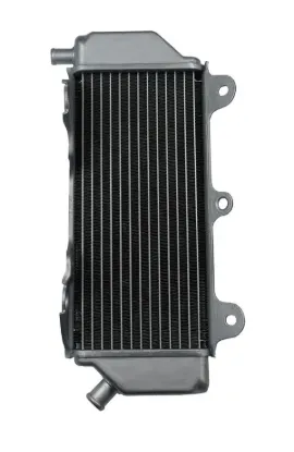 Picture of RADIATOR WRF450 16-18 Links