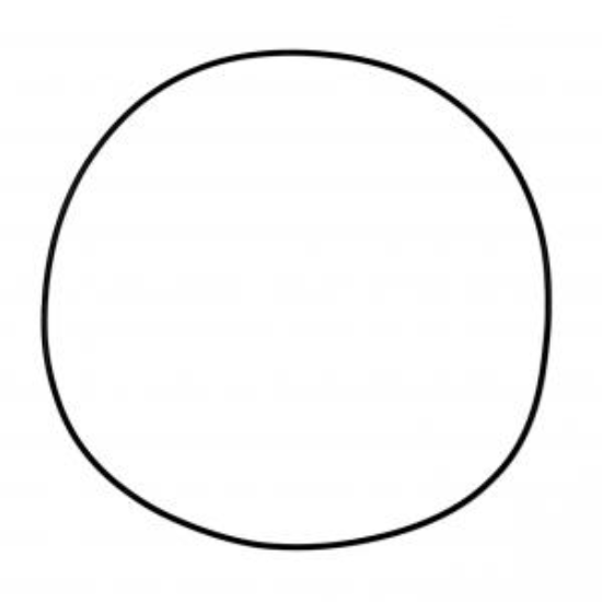 Picture of Klein  CRF250R 04-09 CRF250X 04-17