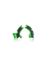 Afbeeldingen van  KAWASAKI KX 250F 15/20 -GREEN/BLACK
