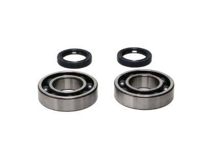 Afbeeldingen van KX250/250X '21-26-krukaslagers en Keerringen