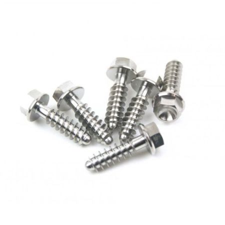 Picture for category Titanium Bouten