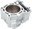 Afbeeldingen van YZF 250 01-13 Cilinder