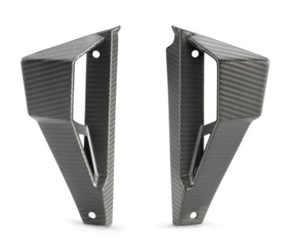 Picture of Winglet carbon kit