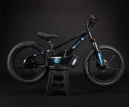 Picture of BBX 20 Inch Balance Bike