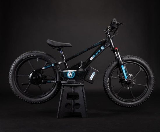 Picture of BBX 20 Inch Balance Bike
