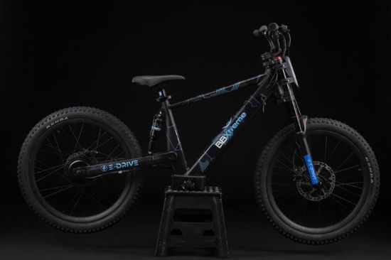 Picture of BBX24 Inch Balance Bike
